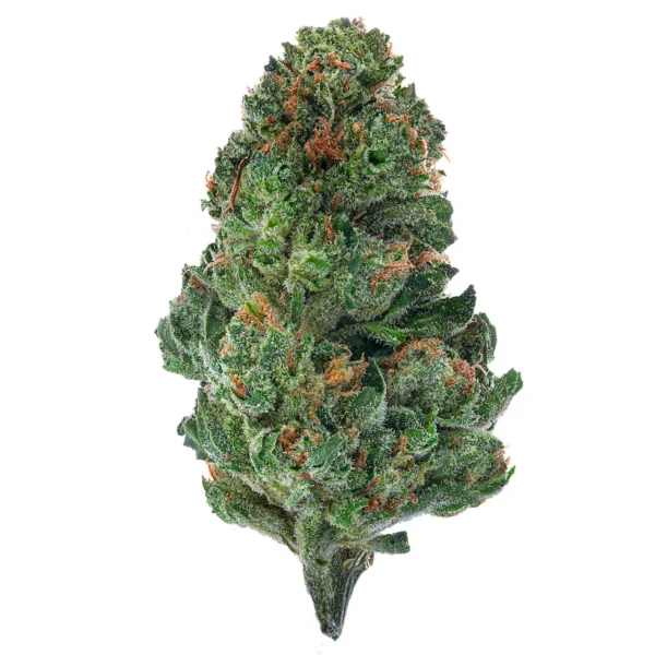 GG4 (Hybrid)