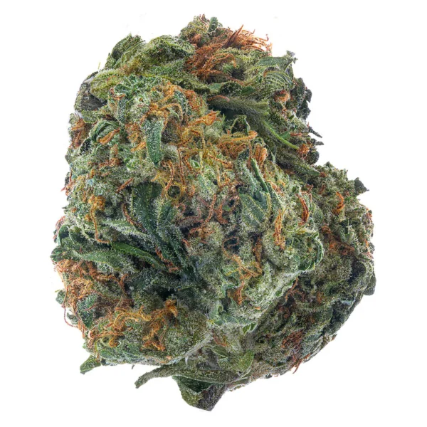Sherbert (Hybrid)