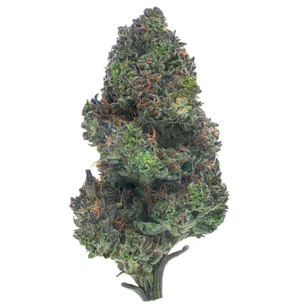 Blue Cheese (Indica)