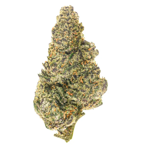 Black Cherry Gelato (Hybrid)