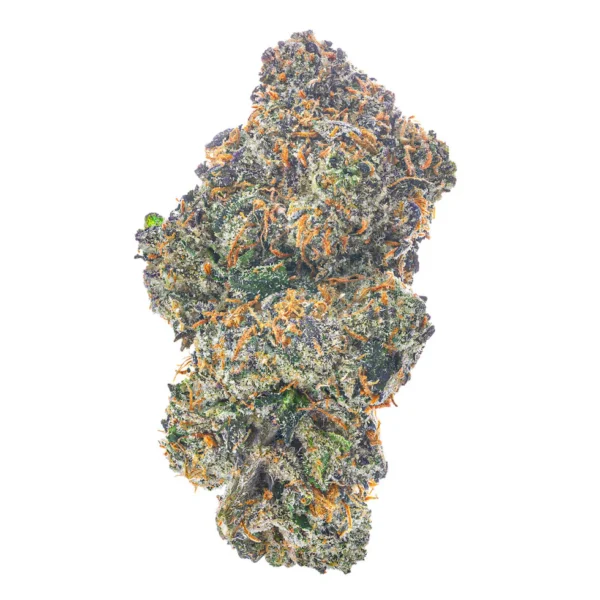 Oreoz (Hybrid)