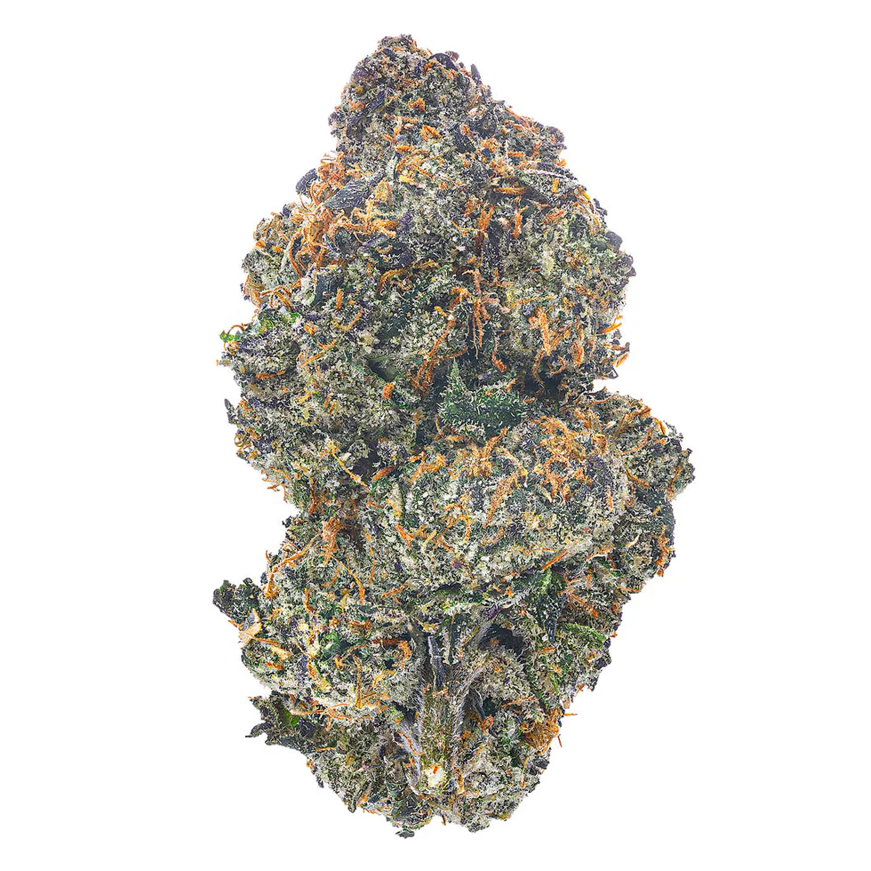 White Truffles (Hybrid)