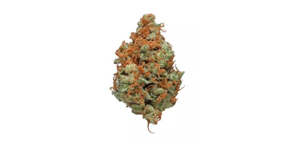 Strawberry Cough (Sativa)